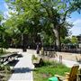Parc Médéric-Martin