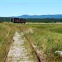 Pont ferroviaire dit de Douglastown