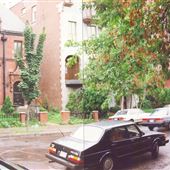 Rue Prince-Arthur Ouest