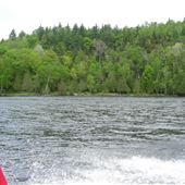 Lac Saint-Pierre