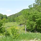 Chemin de l'Anse-aux-foins (Cap Jaseux)