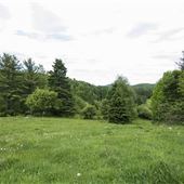 #16658 Mill Pond