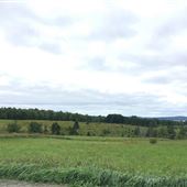Ferme canton est 1