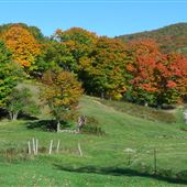 IRON HILL 2