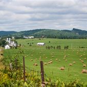 #15739 Vallée d'Harrington