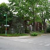 Avenue Hazelwood