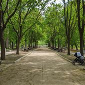 Parc La Fontaine