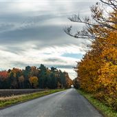 Chemin du Mitan