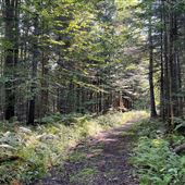 Fiducie Foncière de la vallée Ruiter