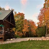 Bois ronds, forêt, garage et alpagas