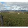 Notre-Dame-des-Monts