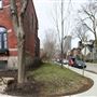 Avenue Prospect