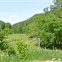 Chemin de l'Anse-aux-foins (Cap Jaseux)