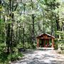 #16563 Parc National d'Oka - Petits chalets