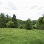 #16658 Mill Pond