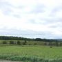 Ferme canton est 1