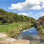 #16220 Bois de Belle-Rivière