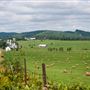 #15739 Vallée d'Harrington