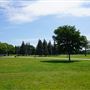 Parc Jarry