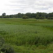 Île de la Commune
