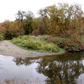Rivière Tomifobia 2