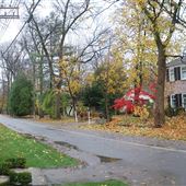 Chemin Lakeshore