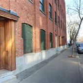 Rue Turgeon