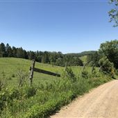 #17264 Chemin Mill Pound