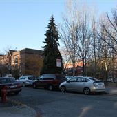 Rue Sewell