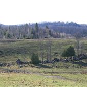 #14915 Paysage Harrington