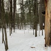#16833 Parc de la Rivière-du-Nord