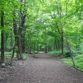 Bois Summit