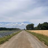 #18363 Montée Dorion