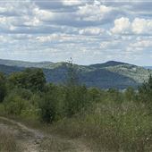 #18444 Gray Rocks