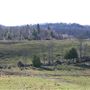 #14915 Paysage Harrington
