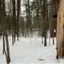 #16833 Parc de la Rivière-du-Nord (hiver)