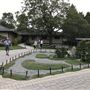Jardin Botanique - Jardin Japonais