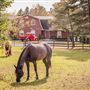 Eclectic farm house and barn