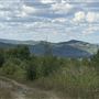#18444 Gray Rocks
