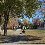 Parc St-Mark (automne)