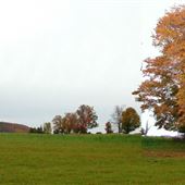 Ferme Bachelder