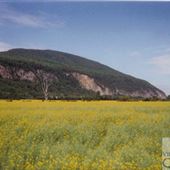 Cap Tourmente
