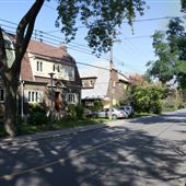 Rue Nelson