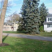 Rue Lakeview