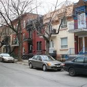 Rue Darling