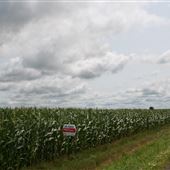 Saint-Isidore