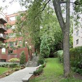 Avenue Ridgewood