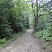 #15744 Harrington