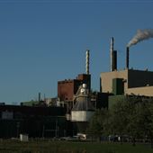 Usine Pâte et Papier Fraser