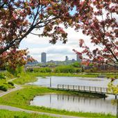 Parc Cartier-Brébeuf